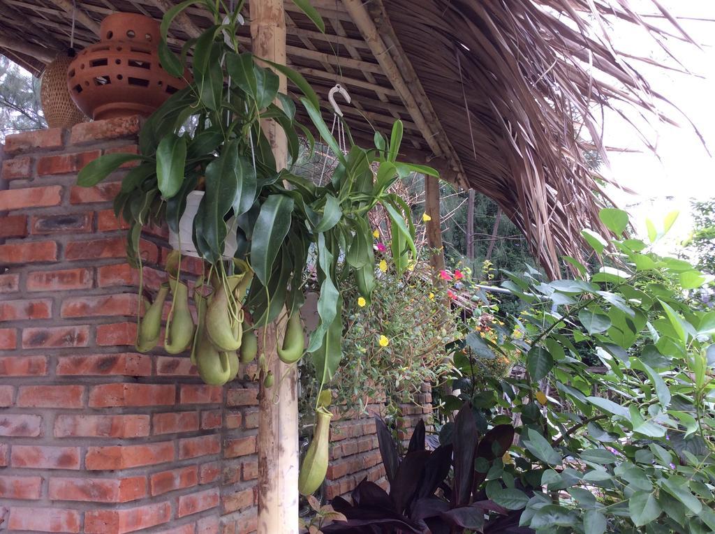 An Bang Beach Lan's Villa Hoi An Exterior foto
